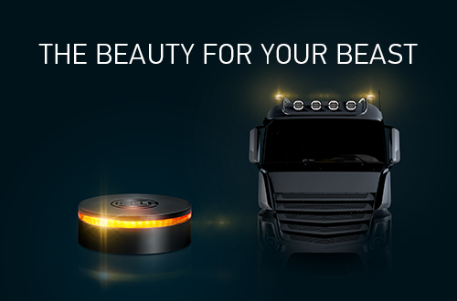 The beauty for your beast!