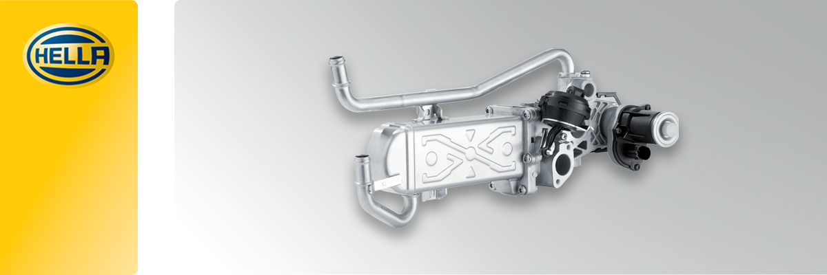 VALVOLA AGR VALVOLA di ricircolo gas di scarico Delphi per Iveco 06-11