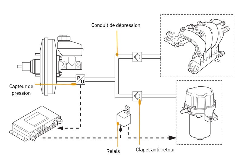 Position d'installation dans le véhicule : variantes de raccordement et aperçu du système, variante régulée